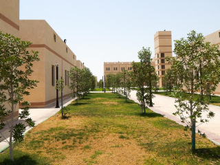 تنسيق الموقع العام (10)