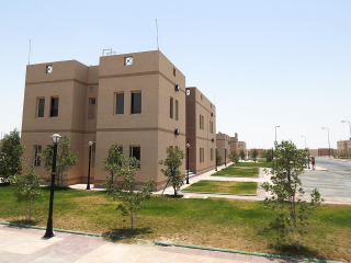 تنسيق الموقع العام (12)