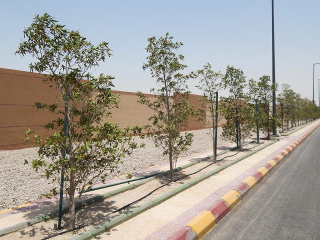 تنسيق الموقع العام (14)